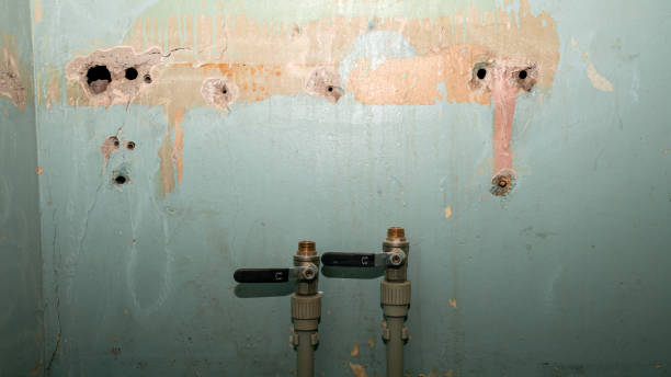 Best Flood damage cleanup  in Turley, OK